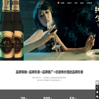深圳TVB图狼品牌形象设计