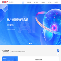 智能营销技术服务- 盘古网络集团