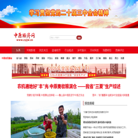 中原经济网