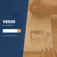 布里奇信息