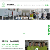 汽车弹簧定制厂家,弹簧定制,厦门弹簧厂家,医疗弹簧,压缩弹簧定制,扭转弹簧,弹簧制造厂-宏圣弹簧